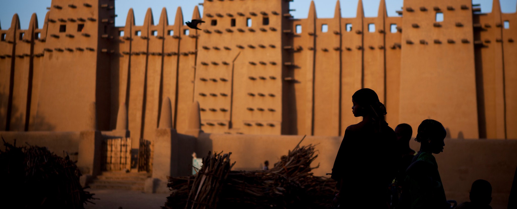 Africa landscape